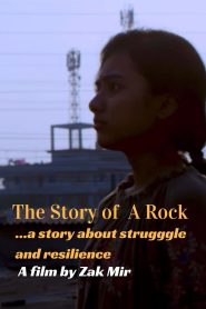The Story of a Rock